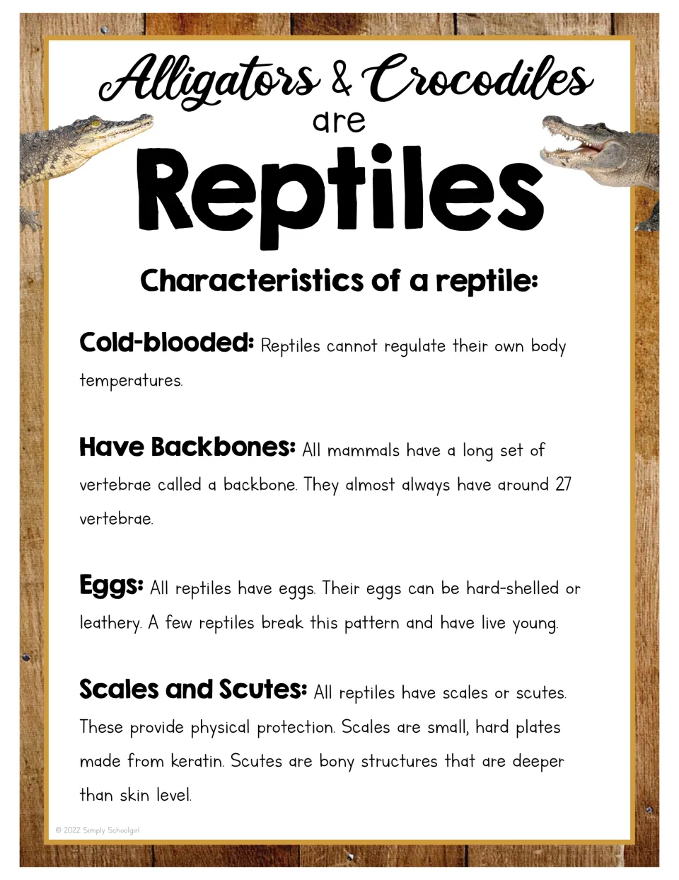 Reptile reference poster identifies alligators and crocodiles as reptiles and lists four characteristics