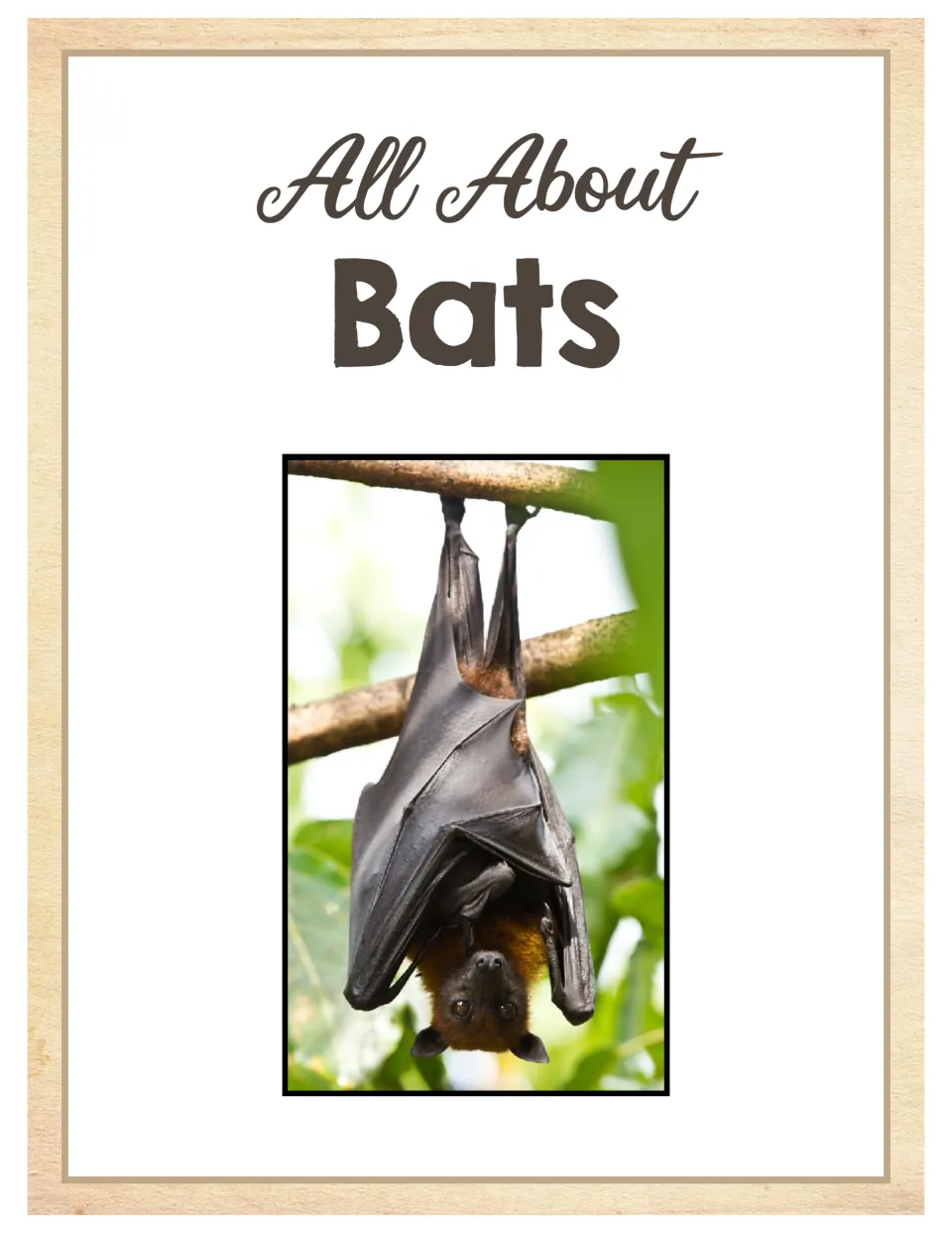 Cover of the bat science unit titled 'All About Bats,' featuring a photograph of a bat hanging upside down