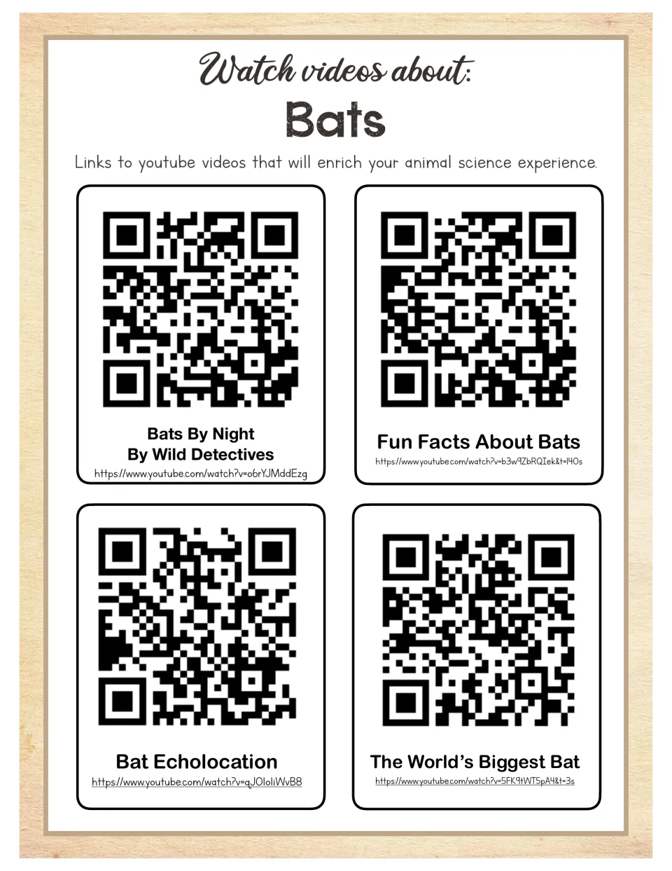 Bat video guide provides four QR codes and links for night behavior, fun facts, echolocation, and the biggest bat
