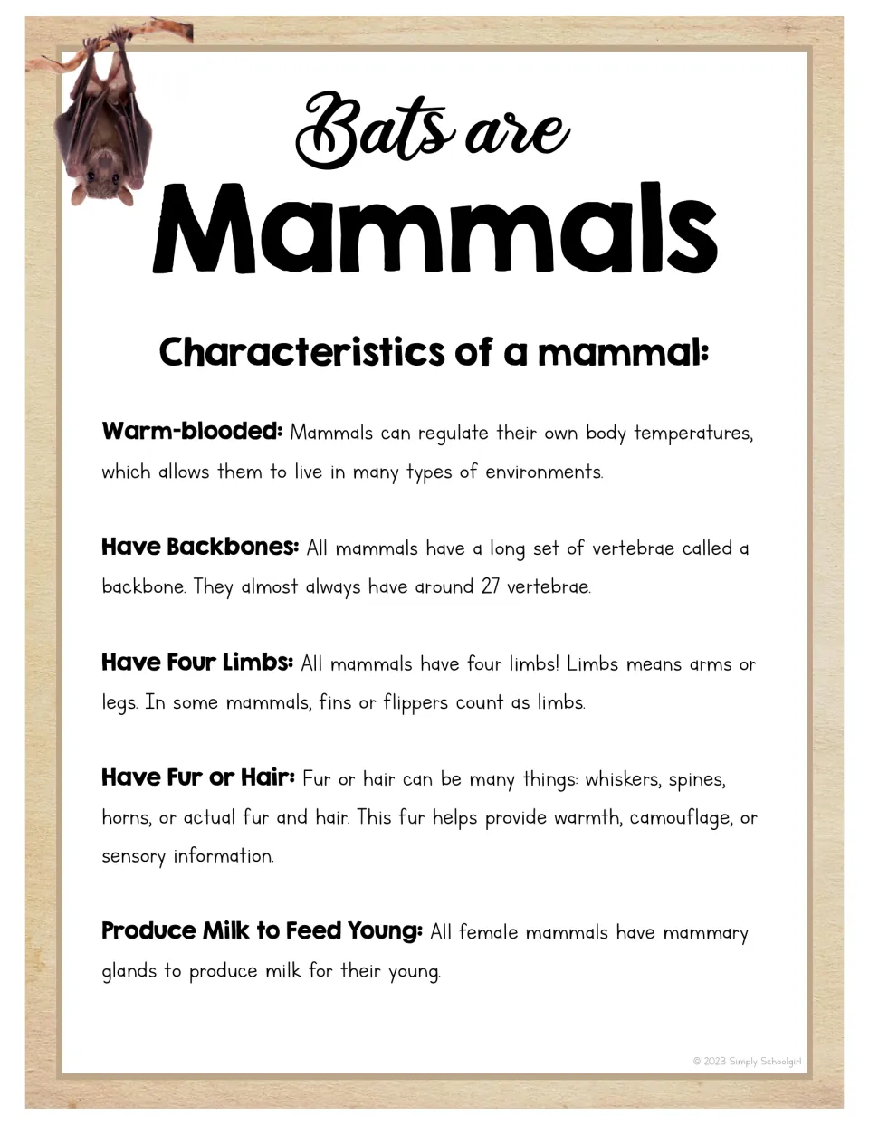 Bats are Mammals poster lists warmth regulation, backbones, four limbs, fur or hair, and milk for young