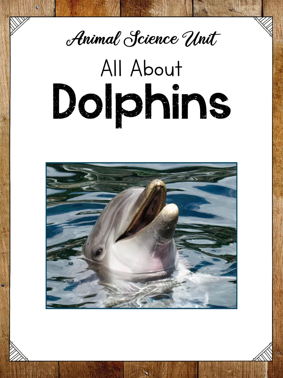 Animal science unit cover titled 'All About Dolphins,' featuring a dolphin lifting its head above water