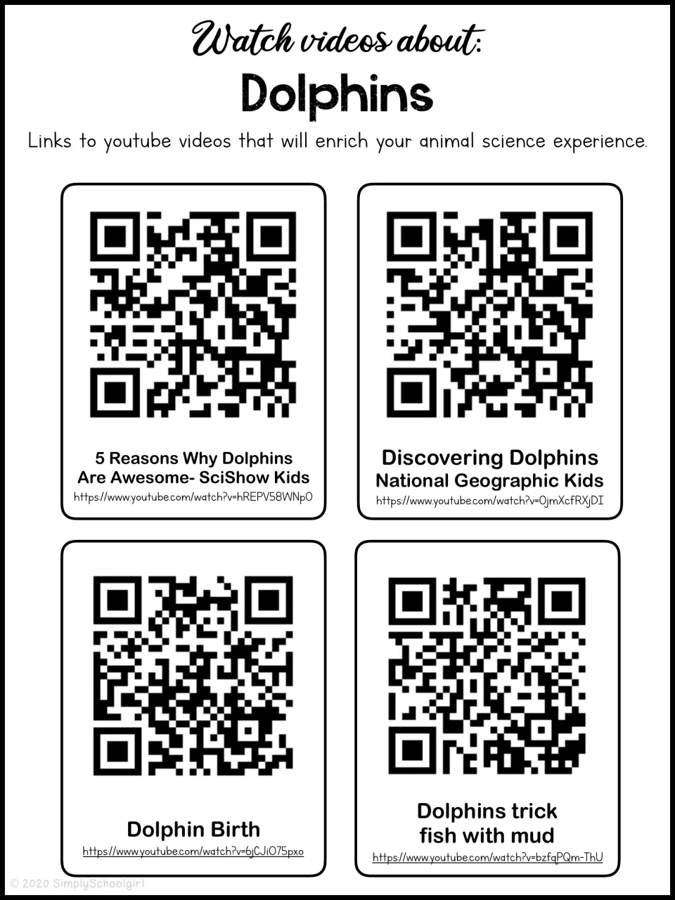 Dolphin video guide provides four QR codes and links about dolphin facts, discovery, birth, and mud hunting