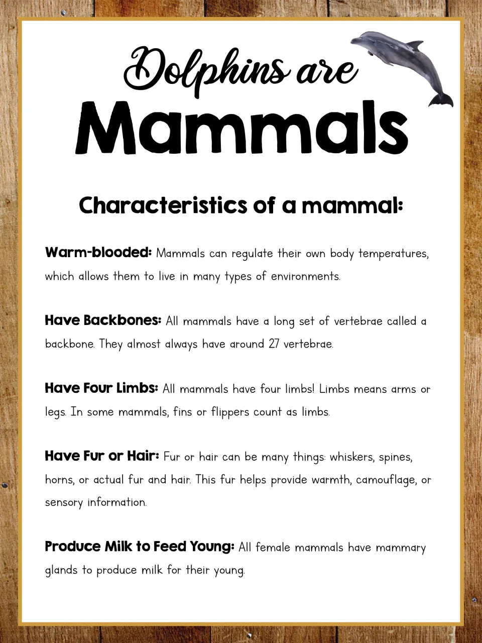 Dolphin mammal poster lists warm-blooded bodies, backbones, four limbs, fur or hair, and milk for young