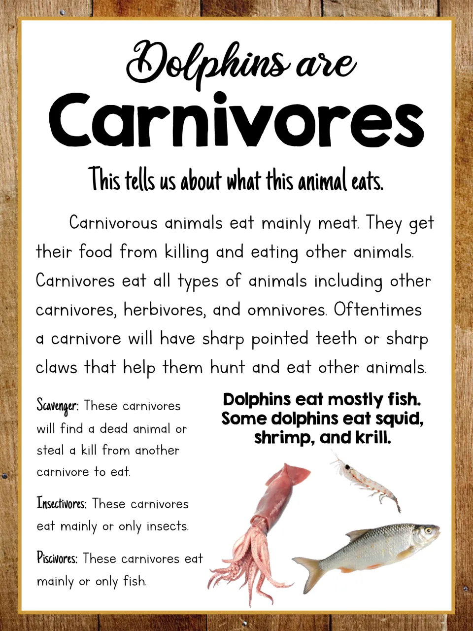 Dolphin diet poster explains carnivores and identifies fish, squid, shrimp, and krill as dolphin foods