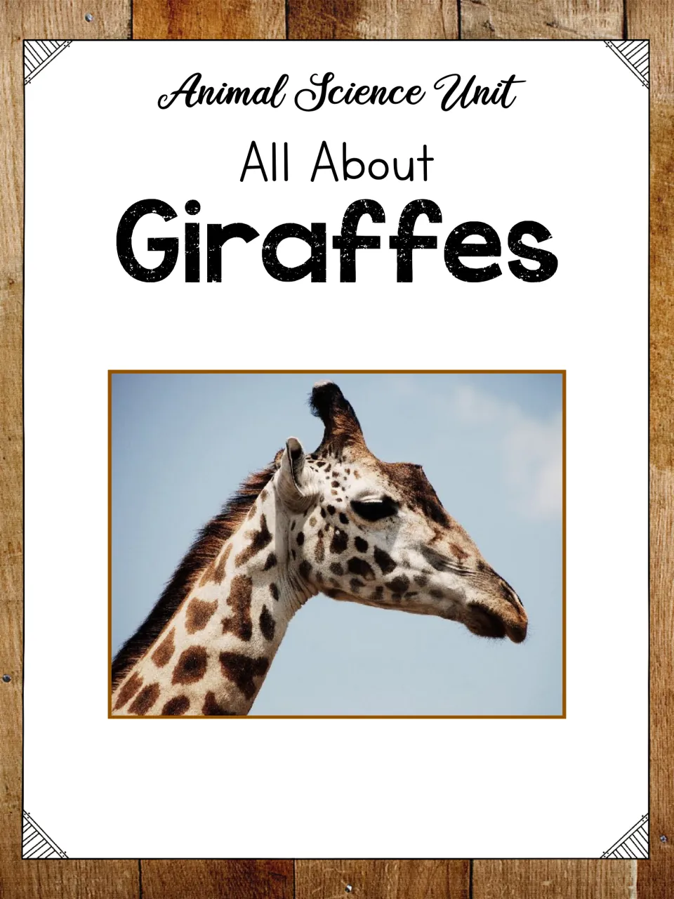 Animal science unit cover titled 'All About Giraffes' with a photograph of a giraffe's head and neck