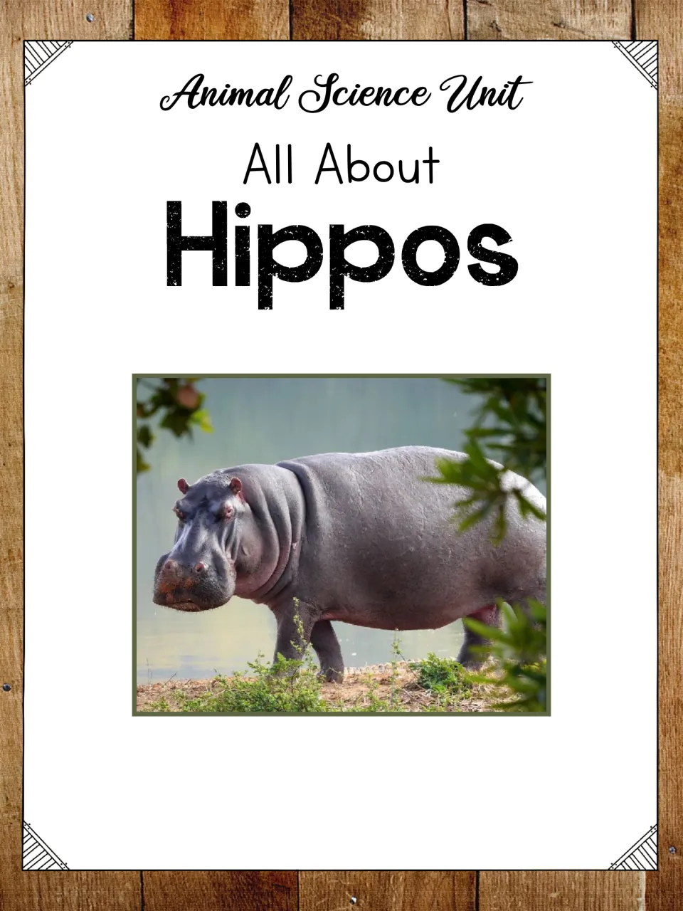 Cover of All About Hippos, an animal science unit, featuring a hippo standing beside a body of water
