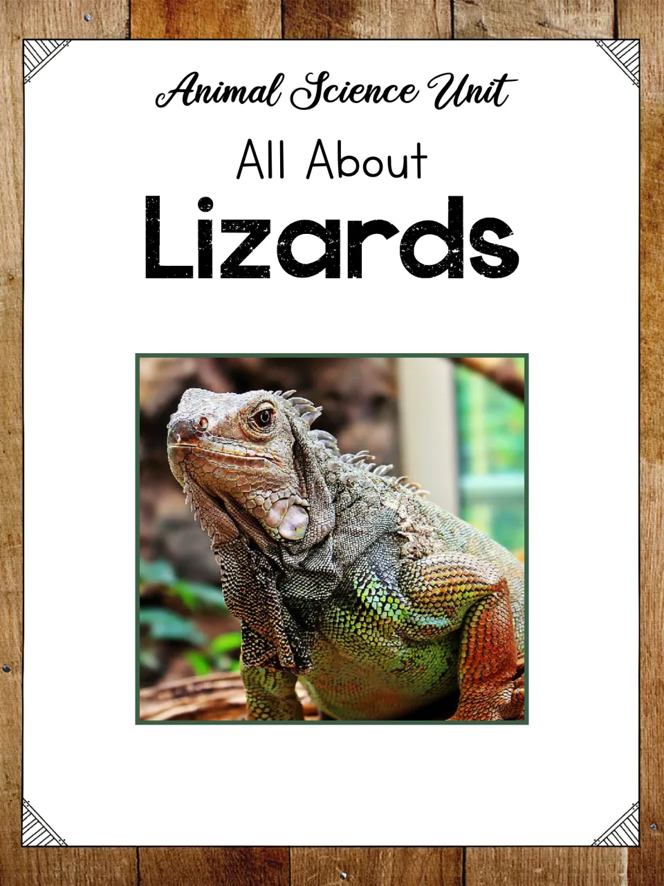 Cover of the animal science unit titled 'All About Lizards', featuring a large photograph of an iguana