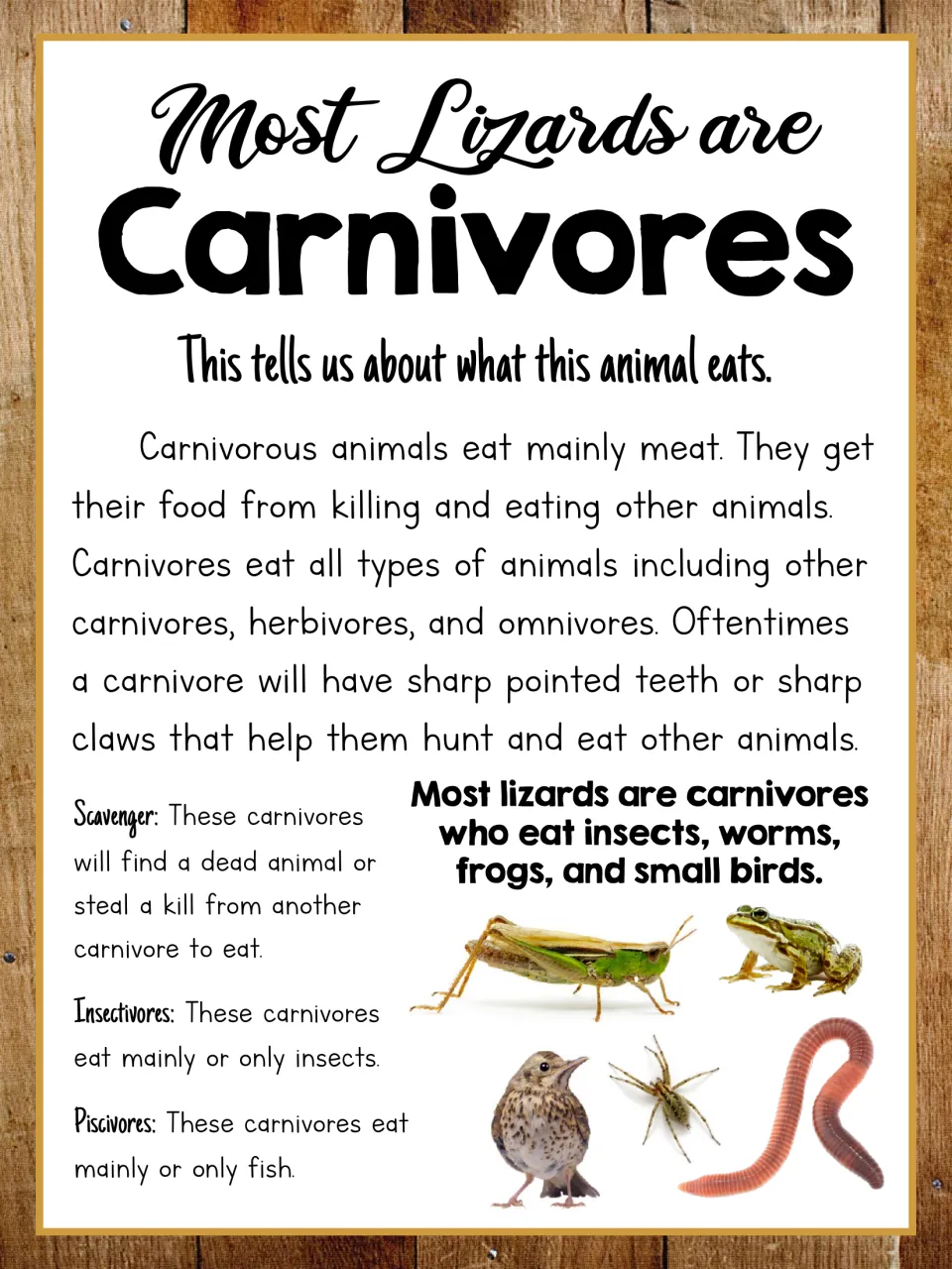 Lizard diet poster explaining carnivores, with sections on scavengers, insectivores, and piscivores