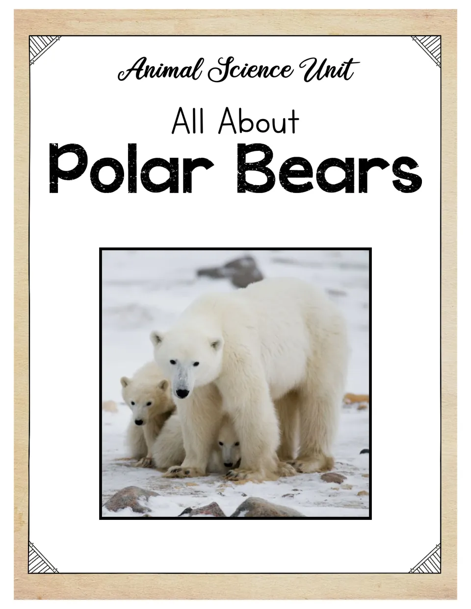 Cover of All About Polar Bears, an animal science unit, featuring an adult polar bear with two cubs