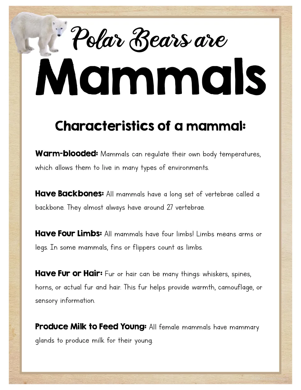 Polar bear mammal reference lists body temperature regulation, backbones, limbs, fur or hair, and milk