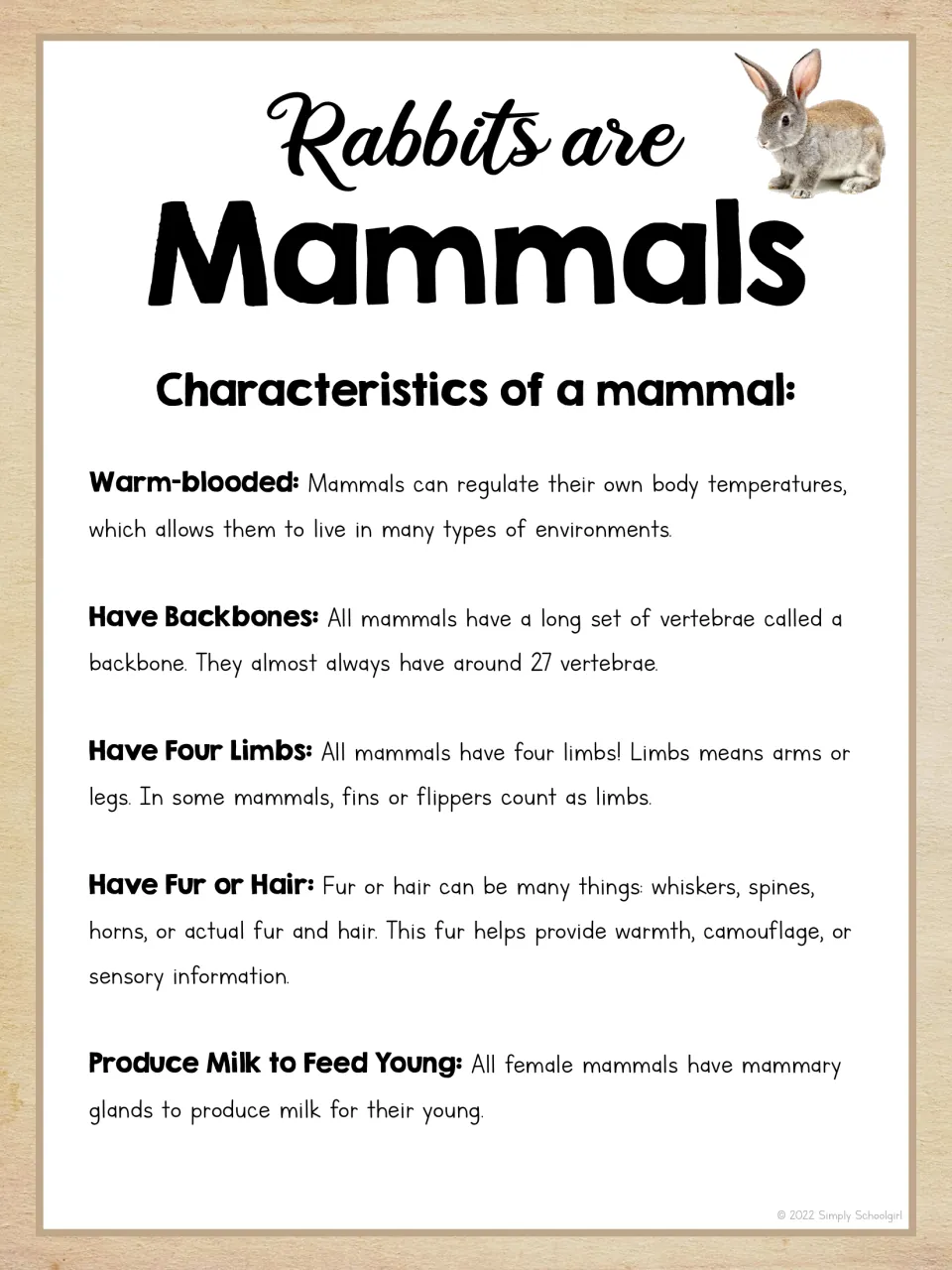 Rabbit mammal reference lists body temperature, backbones, four limbs, fur or hair, and milk for young