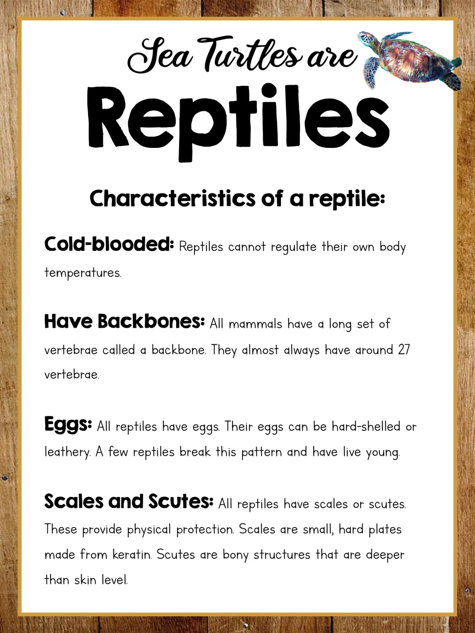Sea turtles are reptiles: reading on reptile traits of cold-blooded bodies, backbones, eggs, and scales and scutes