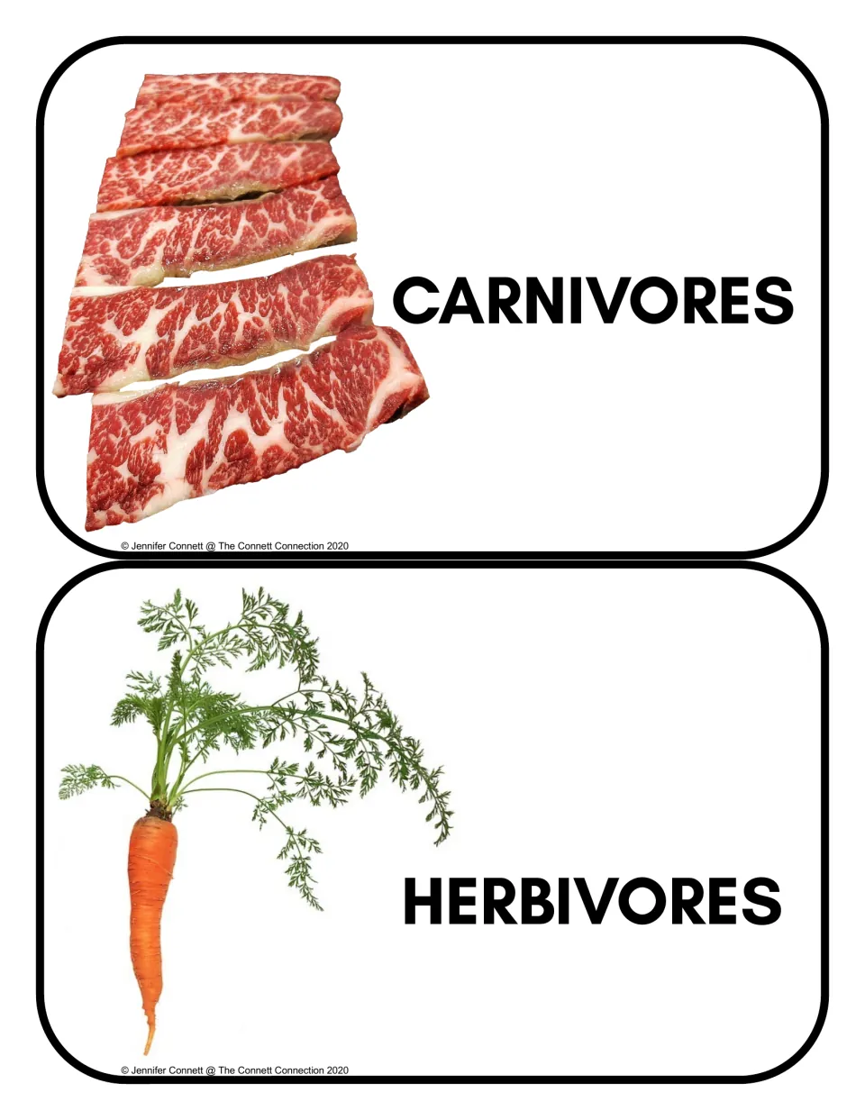 Diet category headers: Carnivores card with raw meat slices and Herbivores card with a carrot, for labeling sort groups