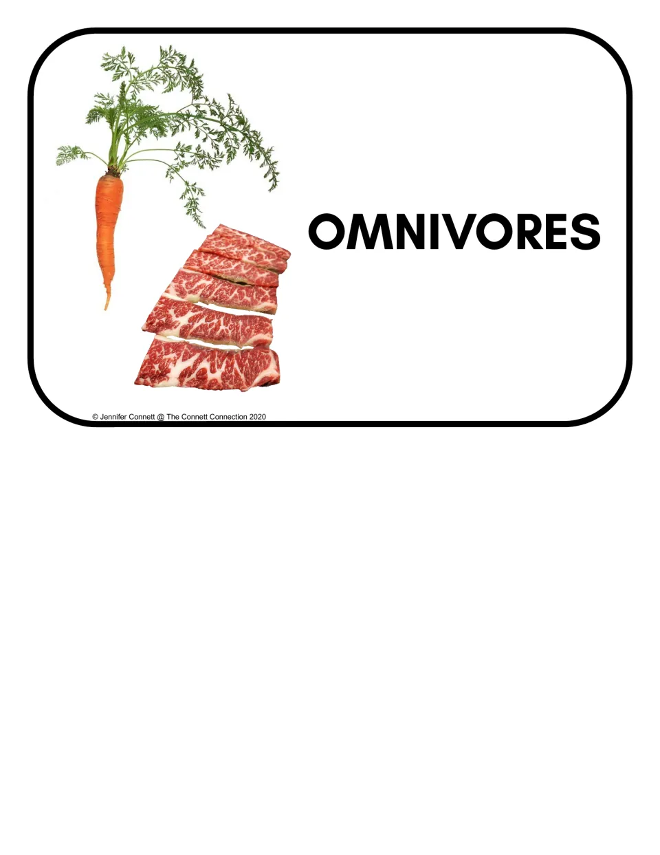 Omnivores header card showing a carrot beside raw meat slices, completing the three diet-group labels for the sort