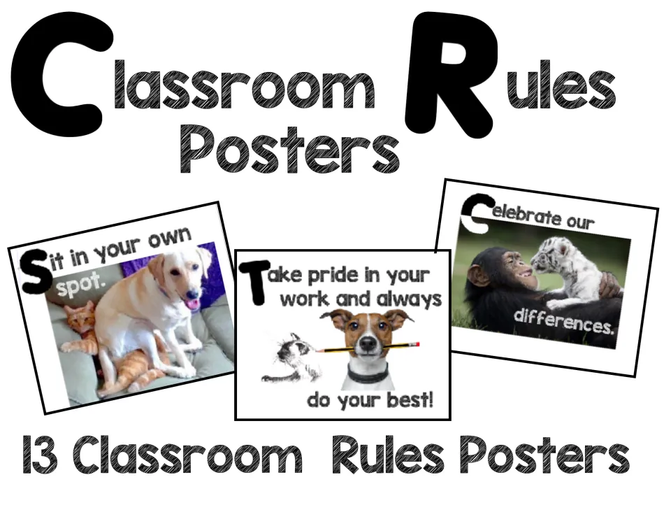 Cover for 13 classroom rules posters, previewing sit in your own spot, take pride in your work and celebrate differences