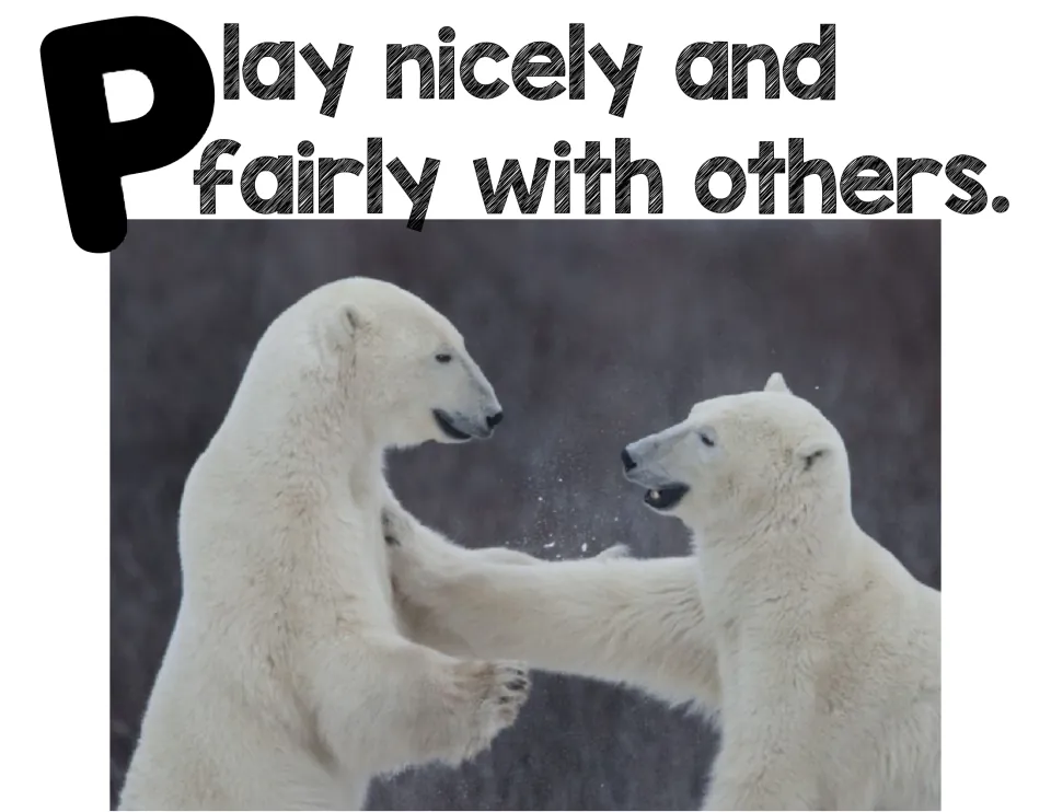 Fair play rule poster: 'Play nicely and fairly with others' shown with two polar bears playing face to face outdoors