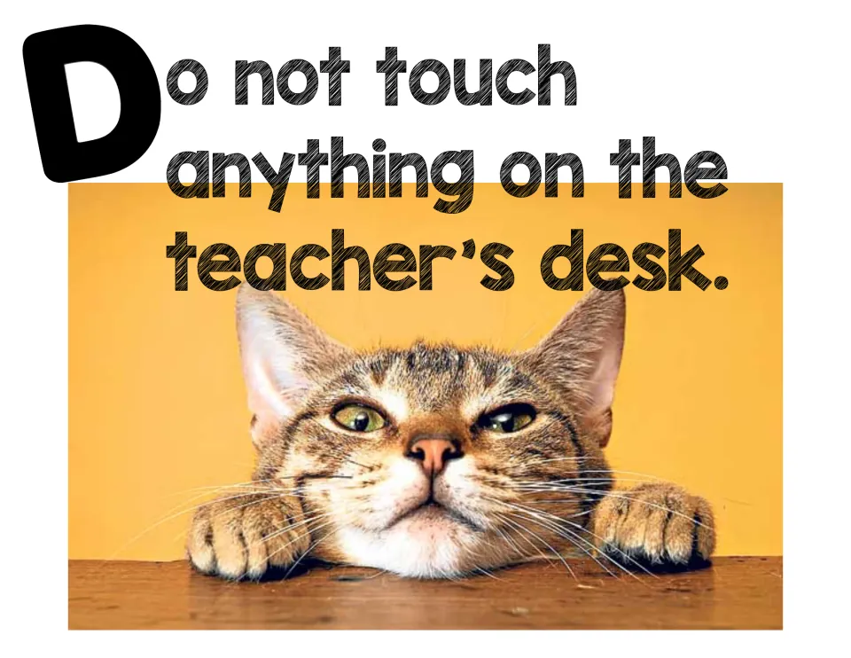Teacher's desk rule poster: 'Do not touch anything on the teacher's desk' with a tabby cat resting its chin on a table