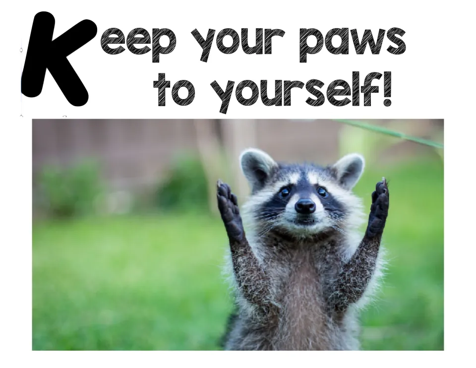 Personal space rule poster: 'Keep your paws to yourself!' with a raccoon on a lawn holding both paws up