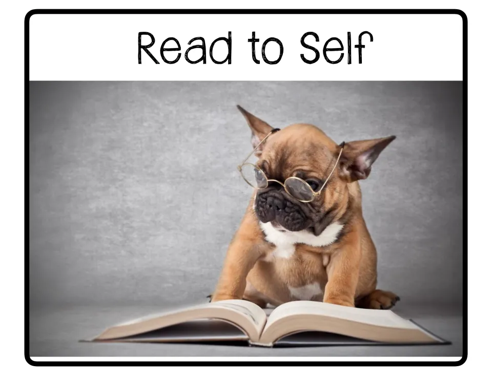 Read to Self poster in the center rotation set, featuring a dog wearing glasses behind an open book