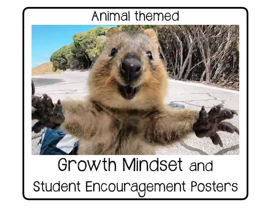Cover of Animal Themed Growth Mindset Posters, featuring a quokka and the words 'Student Encouragement Posters'