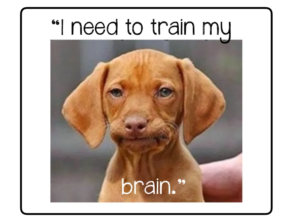Growth mindset poster featuring a brown puppy and the encouragement 'I need to train my brain.'