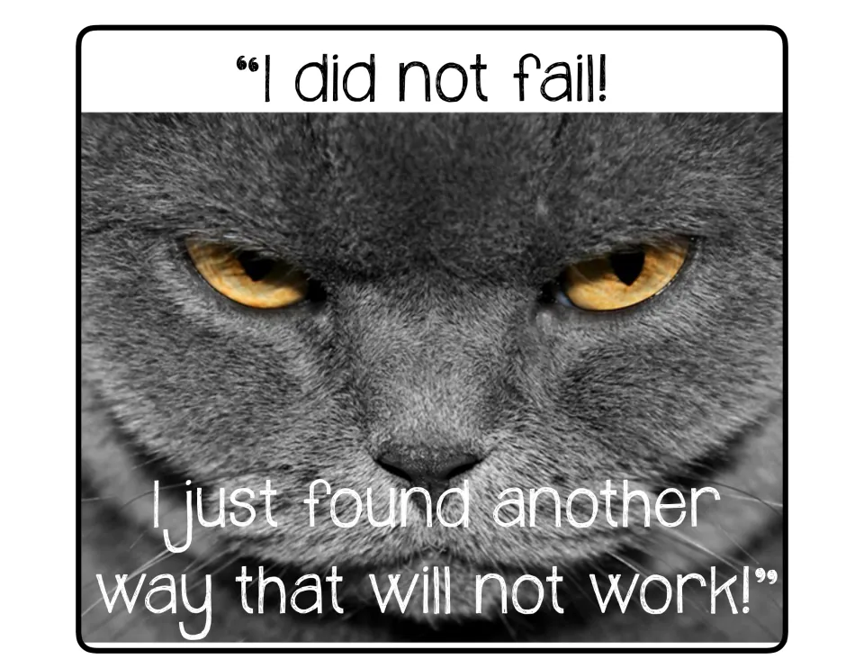 Cat growth mindset poster: 'I did not fail! I just found another way that will not work!'