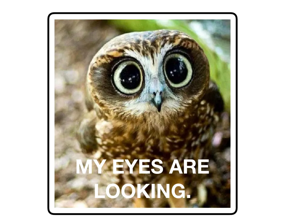 Listening poster 1 of 9: an owl with large eyes illustrates the reminder 'My eyes are looking.'