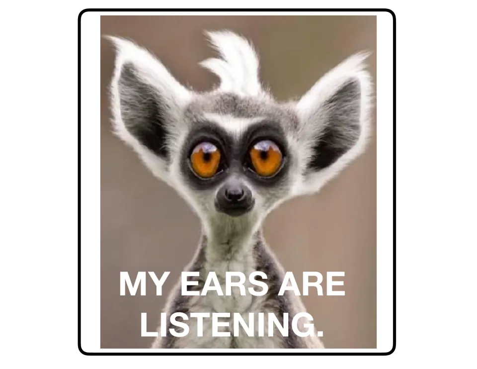 Listening poster 2 of 9: a large-eared animal illustrates the reminder 'My ears are listening.'