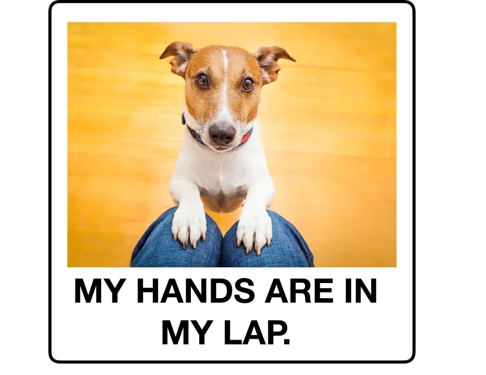 Listening poster 4 of 9: a dog rests its front paws on a person's knees above 'My hands are in my lap.'