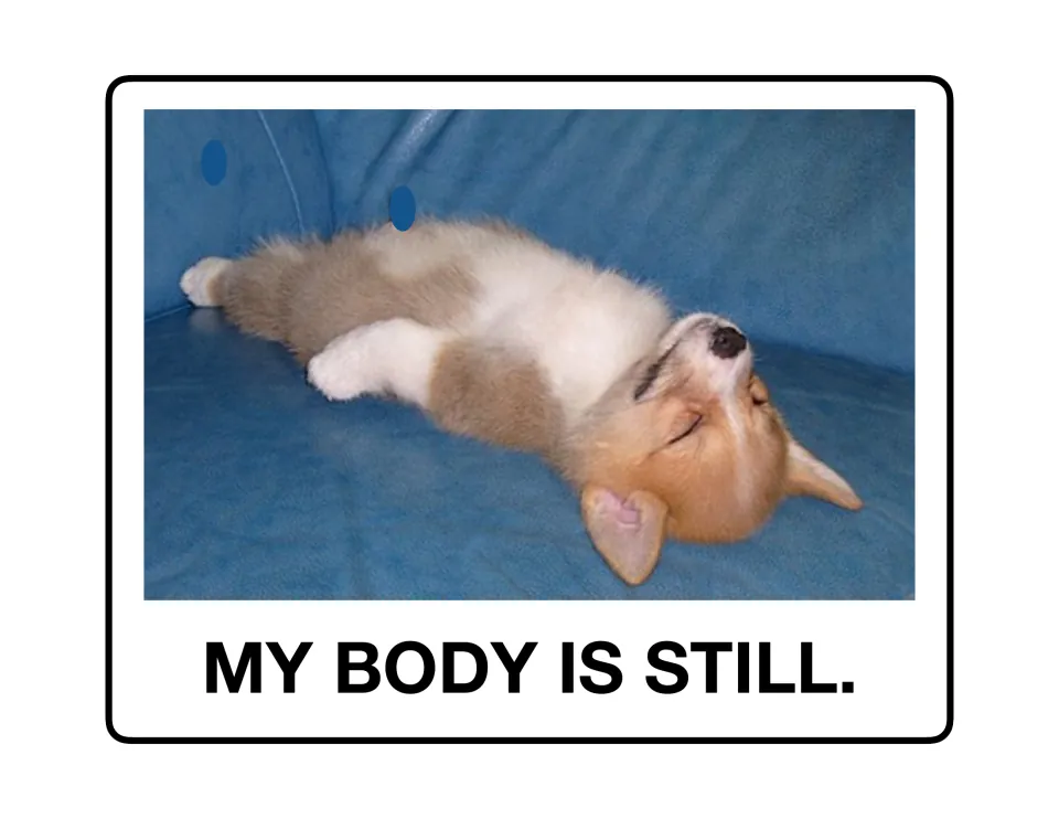 Listening poster 5 of 9: a puppy lies on its back with closed eyes above the reminder 'My body is still.'