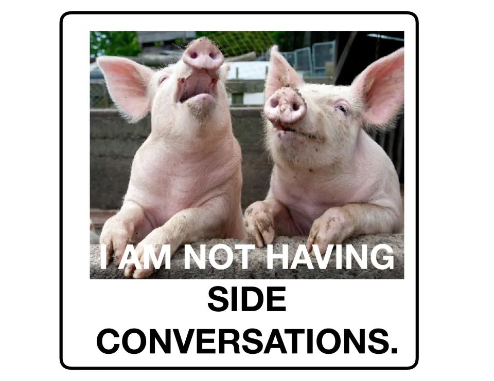 Listening poster 8 of 9: two pigs accompany the classroom reminder 'I am not having side conversations.'