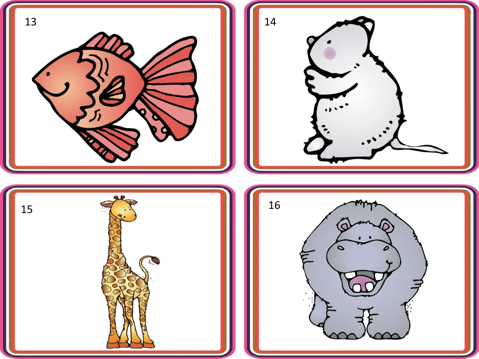 Animal picture cards 13–16 for sorting activities show a fish, a long-tailed rodent, a giraffe, and a hippo.