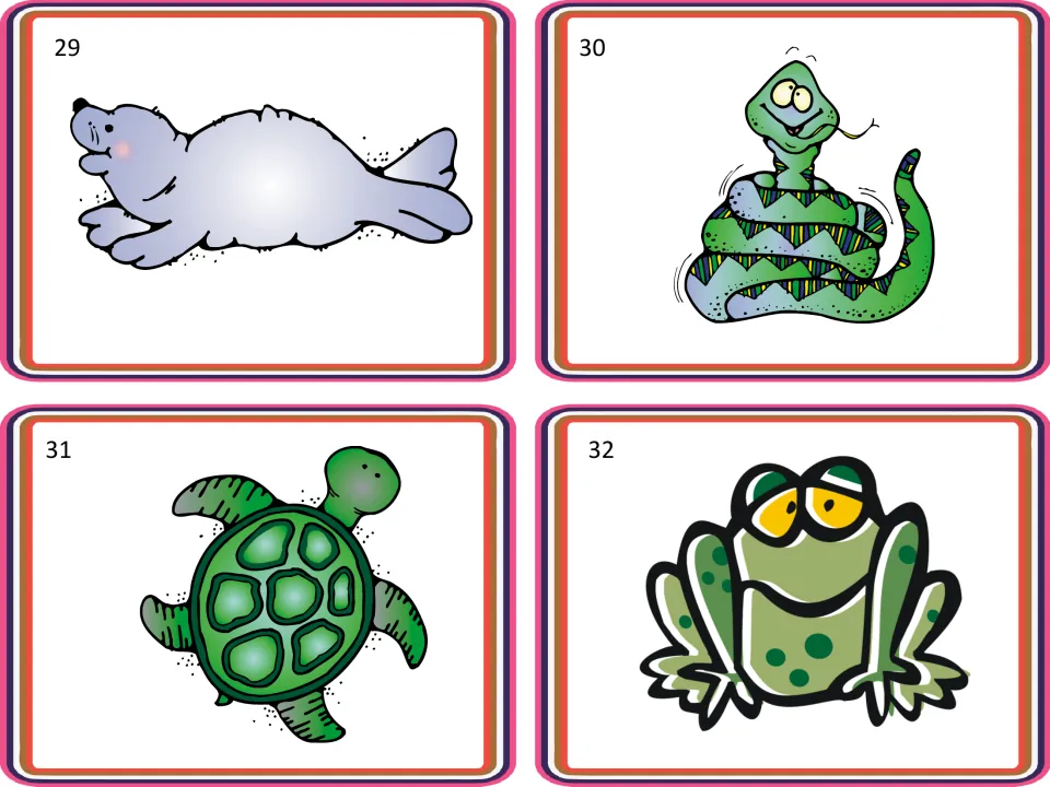 Animal picture cards 29–32 for sorting and vocabulary activities show a seal, a snake, a turtle, and a frog.