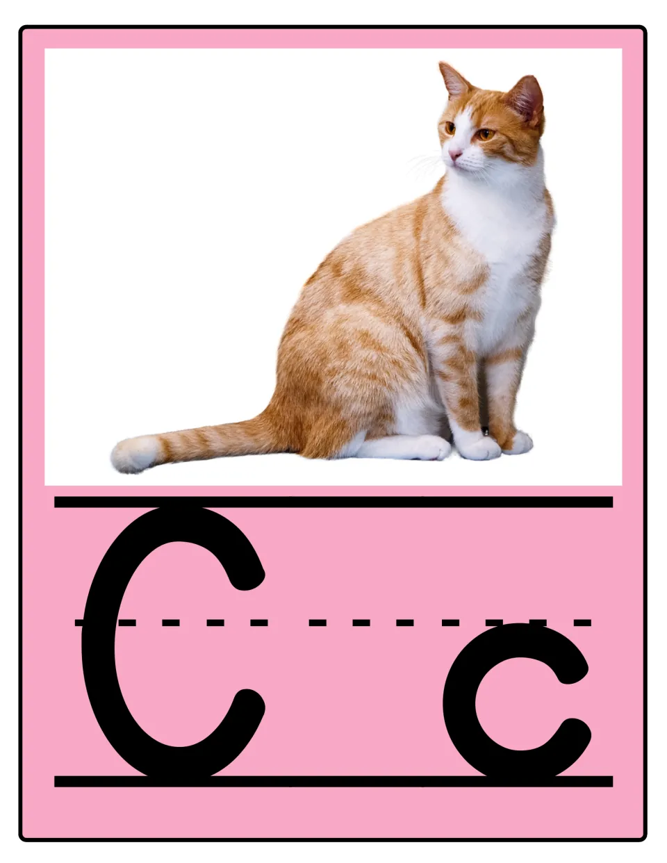 Alphabet poster 3 of 26: uppercase C and lowercase c paired with a cat for letter and sound practice.
