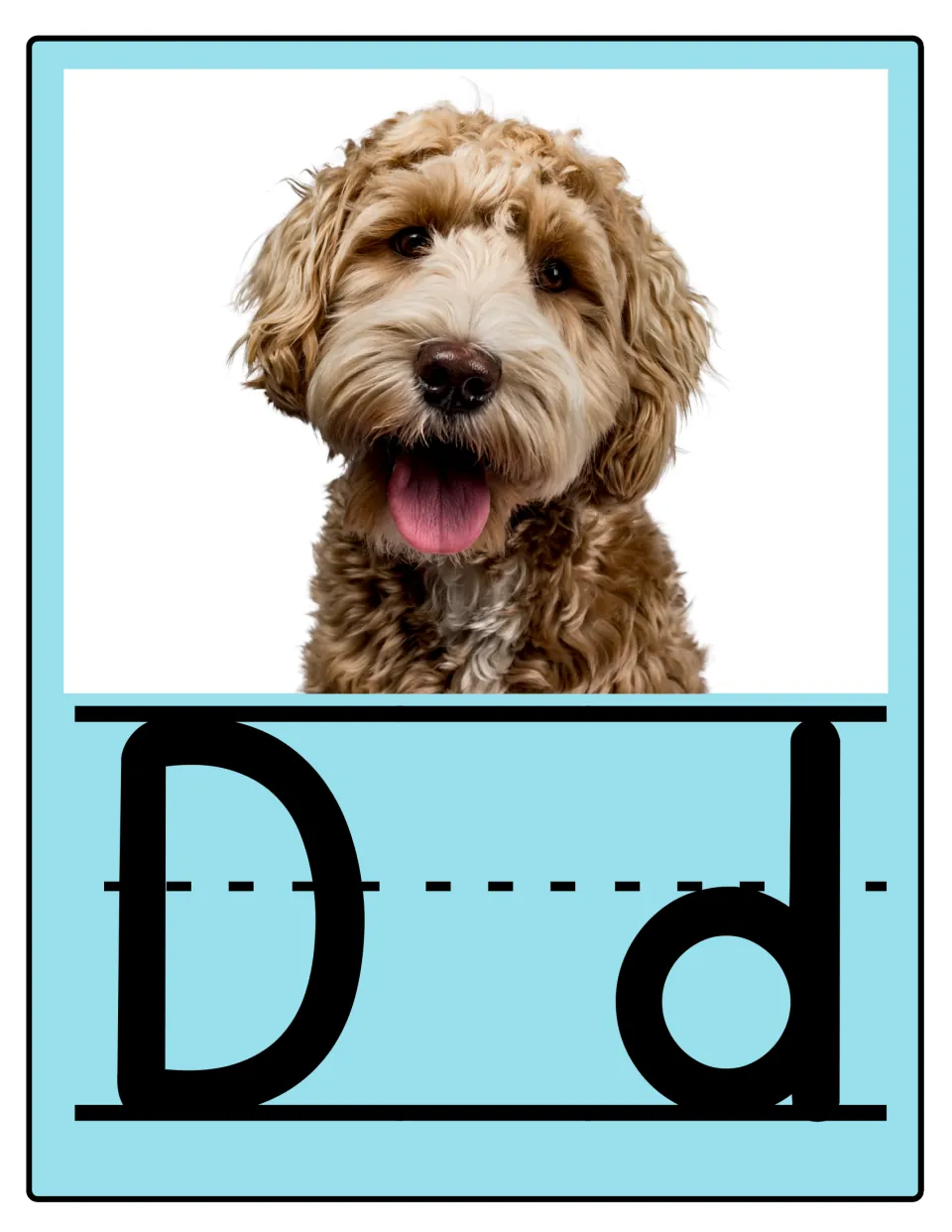 Alphabet poster 4 of 26: uppercase D and lowercase d paired with a dog for letter and sound practice.