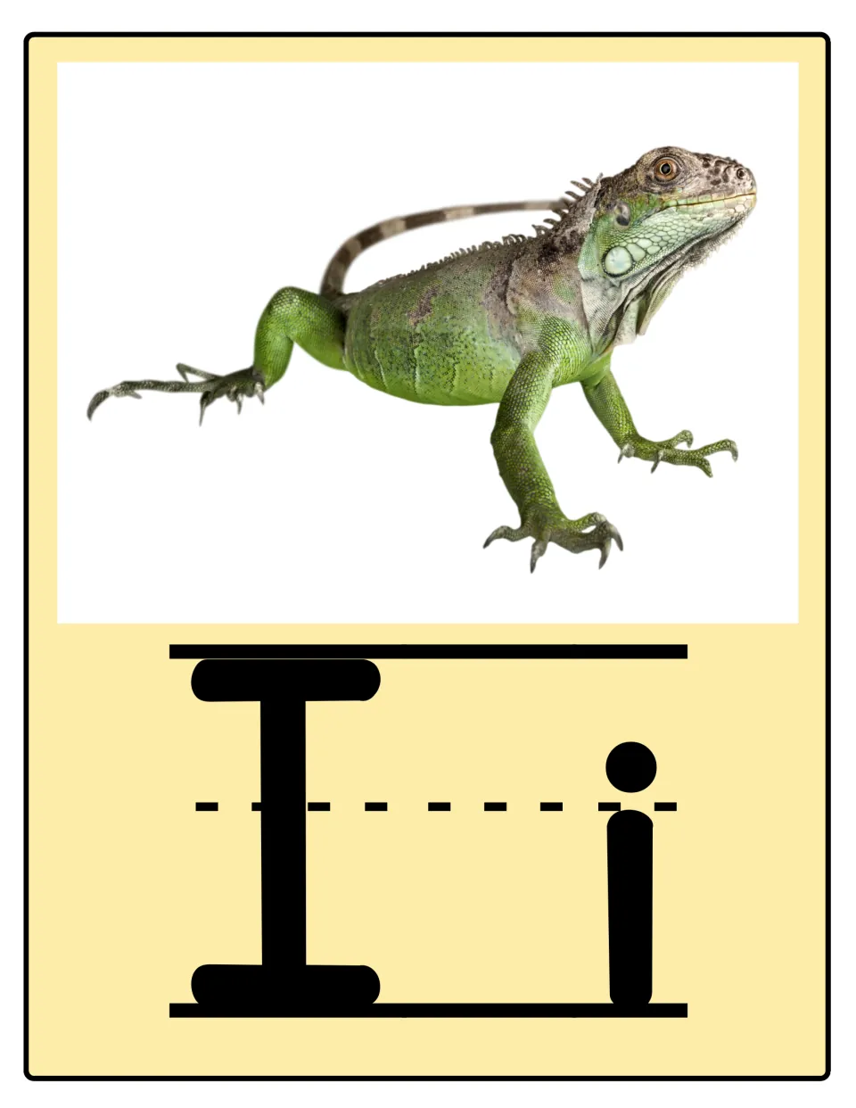 Alphabet poster 9 of 26: uppercase I and lowercase i paired with an iguana for letter and sound practice.