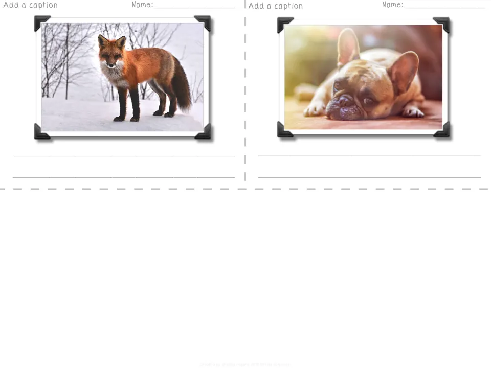 Caption cards: students write a short caption under a photo of a red fox in snow and a French bulldog resting