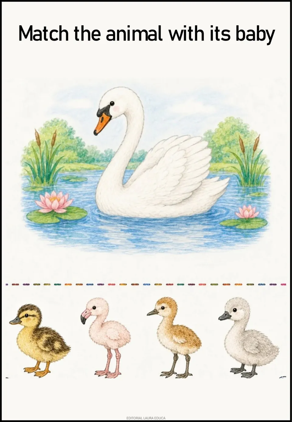 Animal-and-baby matching activity: a white swan and four baby bird choices, including a duckling and gray cygnet