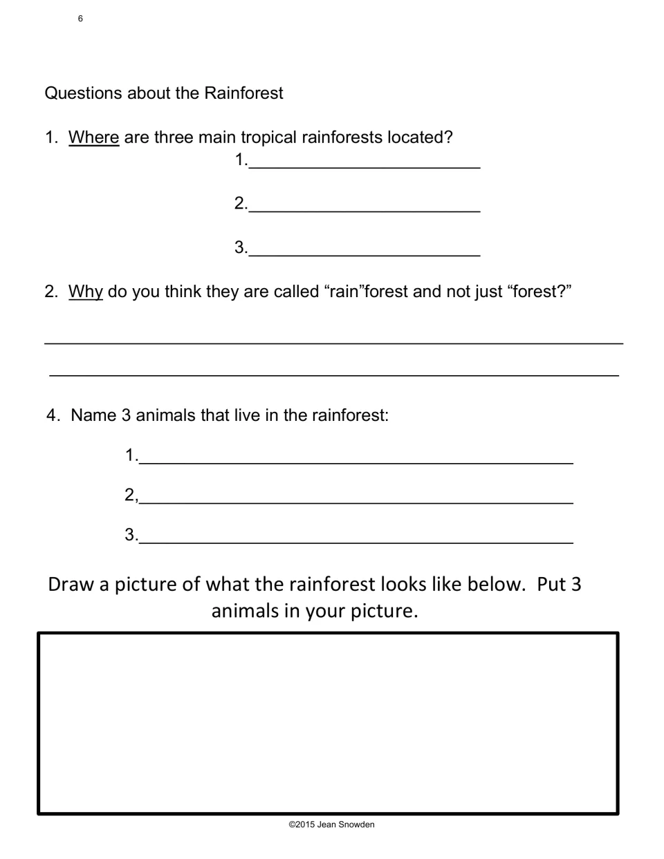 Rainforest comprehension questions: where rainforests are, why they are called rainforests, 3 animals, plus a drawing task