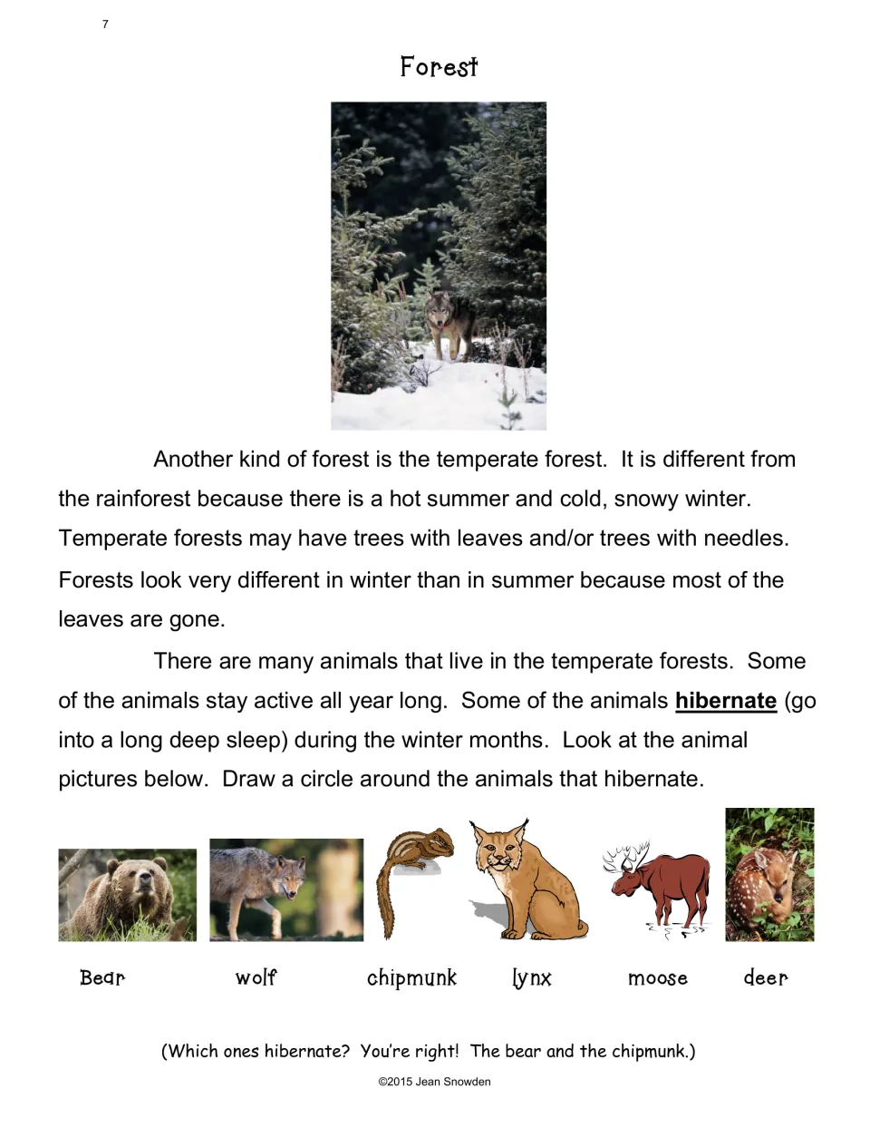 Temperate forest reading on seasons and hibernation; students circle which of 6 pictured animals hibernate