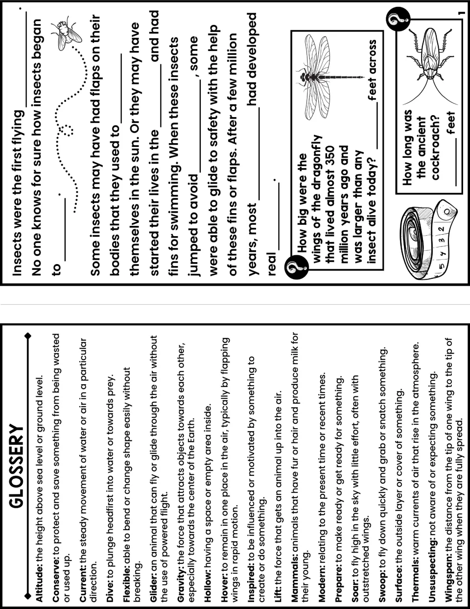 Student notes booklet glossary and page 1 pair flight vocabulary with fill-in notes on early flying insects.