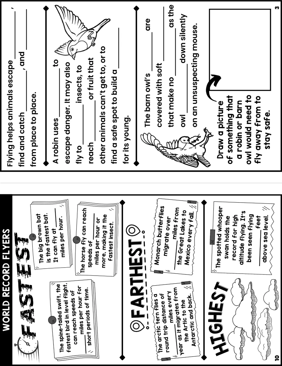 Student notes booklet pages 3 and 10 explore why animals fly and records for speed, distance, and altitude.