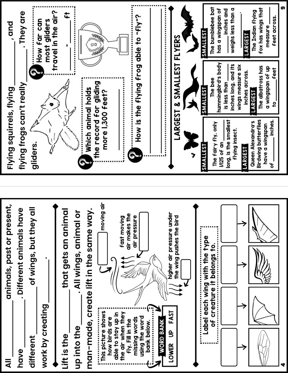 Student notes booklet pages 4 and 9 explain lift, ask students to label wing types, and compare flyers.