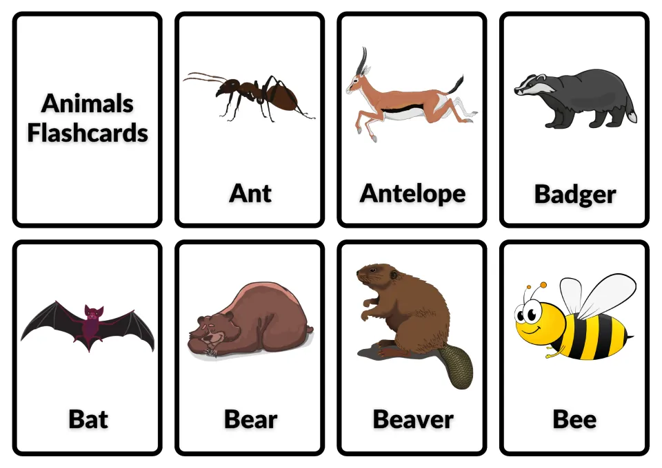 Animal name flashcards: a title card, then pictures labeled ant, antelope, badger, bat, bear, beaver and bee