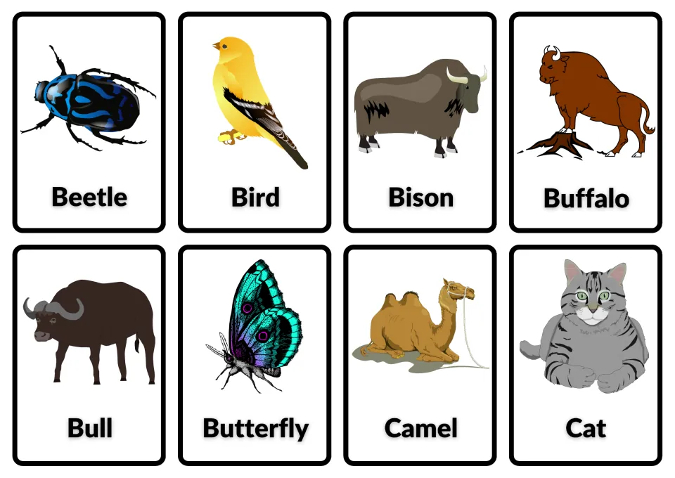 Animal vocabulary cards: pictures labeled beetle, bird, bison, buffalo, bull, butterfly, camel and cat for naming aloud