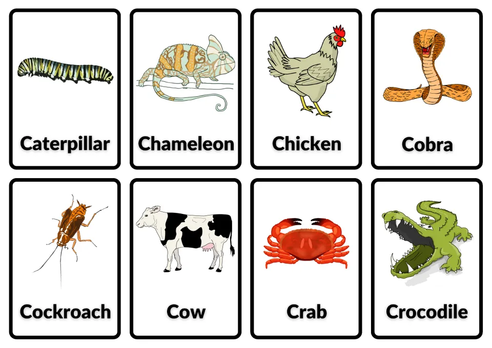 Animal word cards: caterpillar, chameleon, chicken, cobra, cockroach, cow, crab and crocodile, each shown with a picture