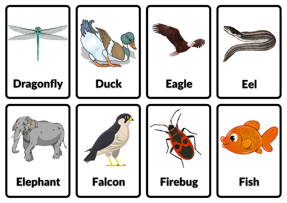 Animal flashcards for dragonfly, duck, eagle, eel, elephant, falcon, firebug and fish, each picture with its name