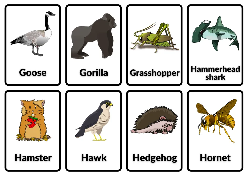 Animal name cards: goose, gorilla, grasshopper, hammerhead shark, hamster, hawk, hedgehog and hornet with pictures