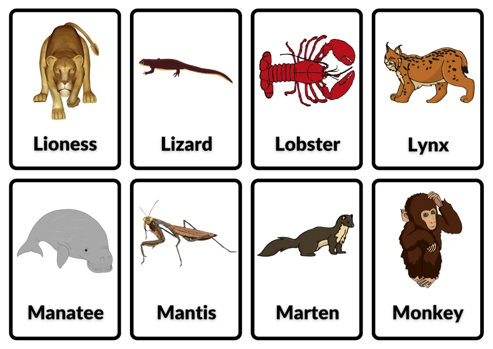 Animal words with pictures: lioness, lizard, lobster, lynx, manatee, mantis, marten and monkey cards for naming practice