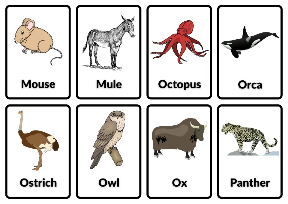Animal flashcards labeled mouse, mule, octopus, orca, ostrich, owl, ox and panther, each pictured for word matching